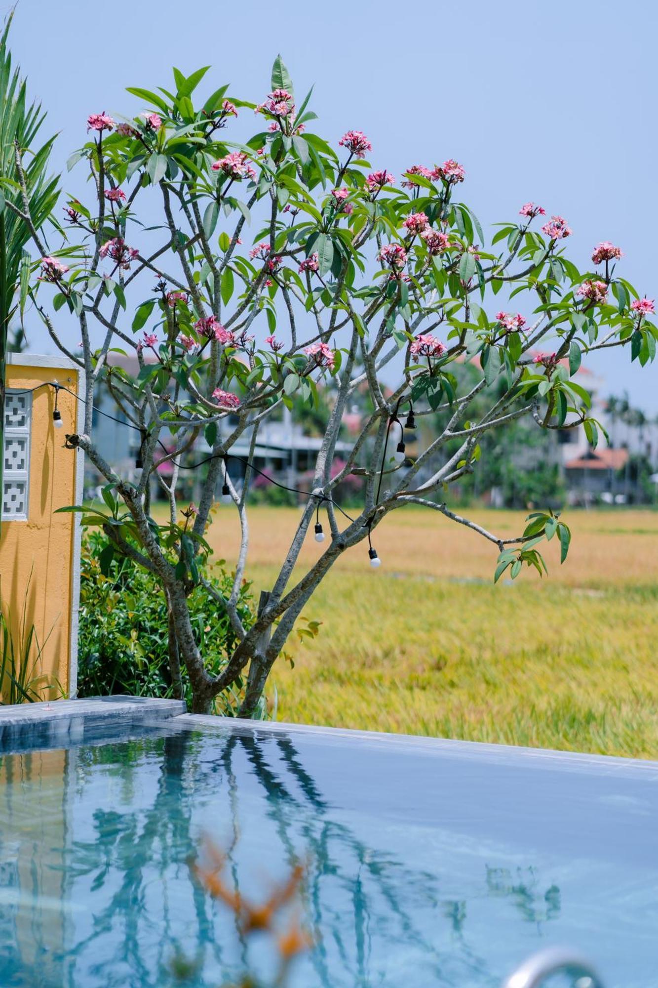 Bs Jade Home Hội An Ngoại thất bức ảnh