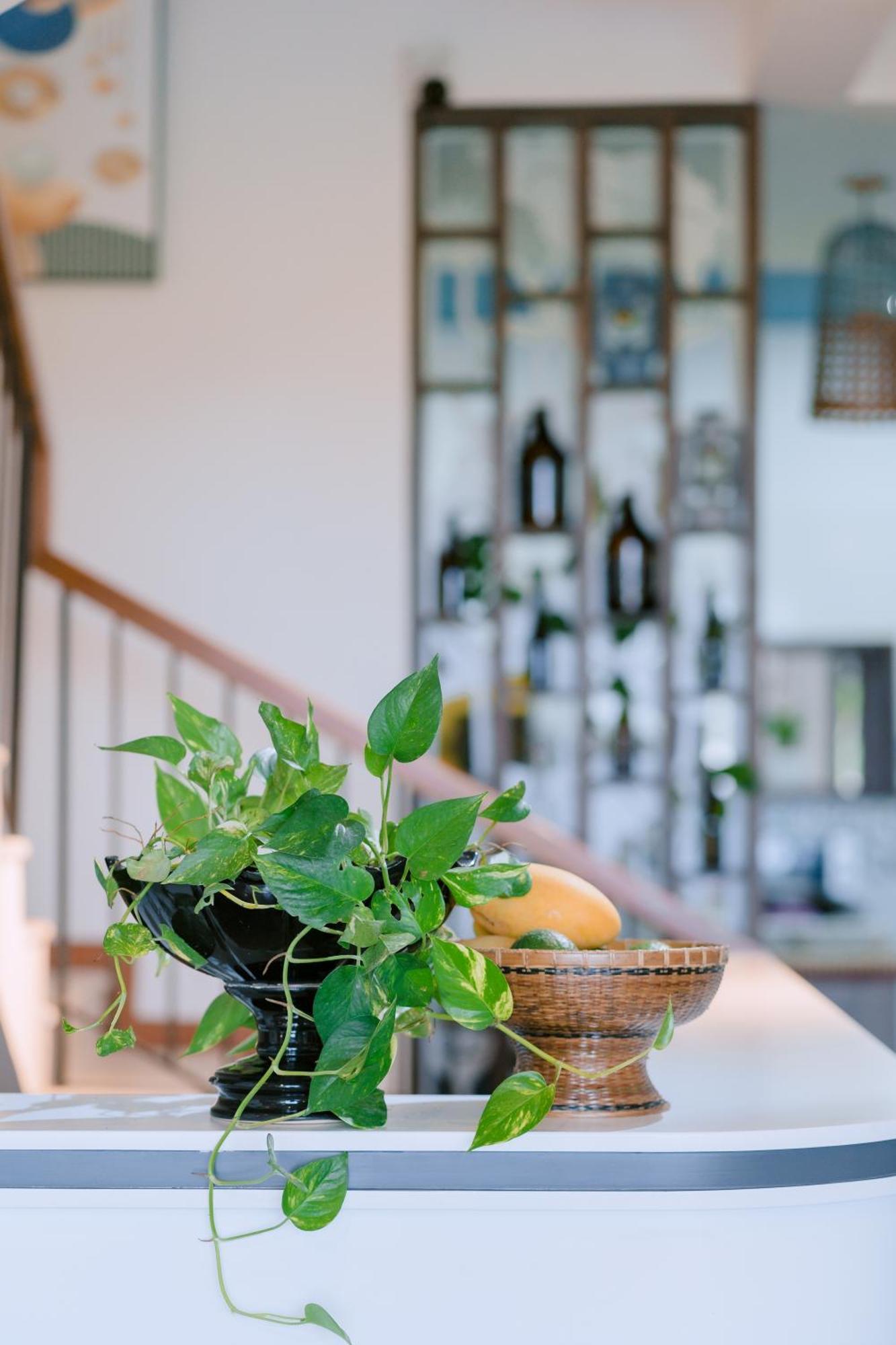 Bs Jade Home Hội An Ngoại thất bức ảnh